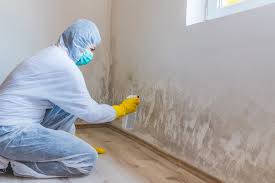 Best Mold Removal for HVAC Installations  in Sedalia, MO